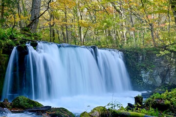 Obraz premium 奥入瀬渓流にある紅葉に包まれた晩秋の銚子大滝の情景＠青森