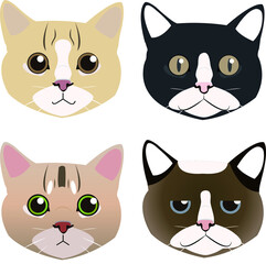 Four different color cat avatar vectors