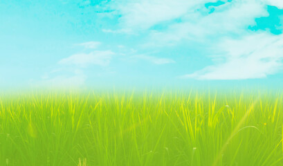Fototapeta na wymiar Beautiful field view, Grass field, green spring landscape