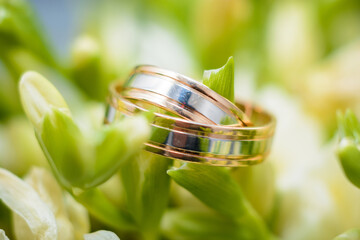 two gold wedding rings lie on the flowers of a bouquet close-up