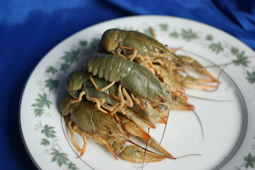 live crayfish. green crayfish on a plate