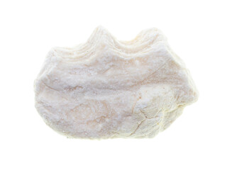 Kurt is isolated on a white background.