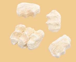 Curt is isolated on a beige background.