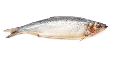 Herring isolated on a white background.