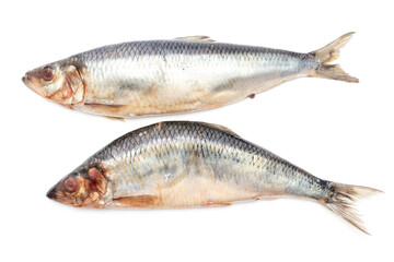 Two herring isolated on a white background.