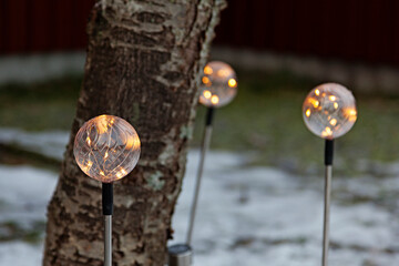 decorative candles around a birch at Christmas time