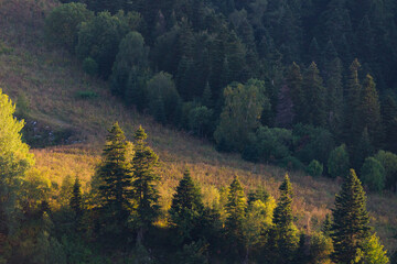 Majestic sunset in the mountains landscape. Dramatic sunset