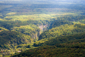 Mountain landscape. Gorge and mountains covered by forest