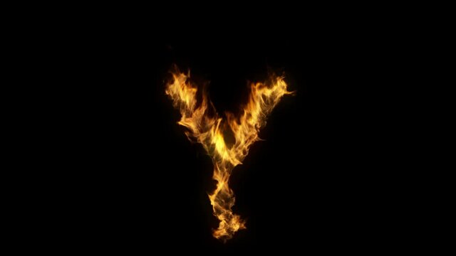 3D animation of the letter y on fire with alpha layer