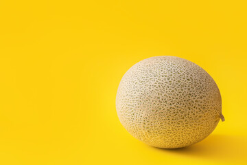 Sweet ripe melon on color background