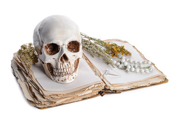 Spell book, human skull, pendulum and beads on white background