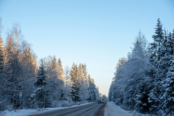Car paved road in the middle of a snow-covered forest under a bright blue sky.