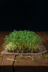 Watercress microgreens on the burlap napkin and the textured backdrop