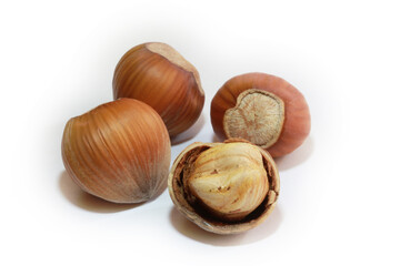  Hazelnuts isolated on white background.  Studio shot.