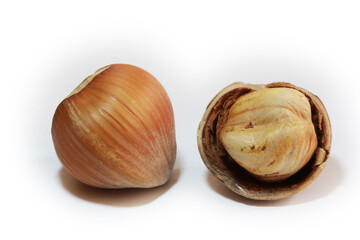  Hazelnuts isolated on white background.  Studio shot.