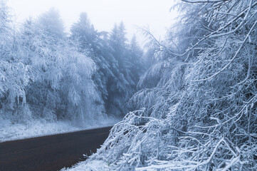 Zima v lese, Bílé Karpaty