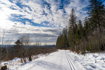 Todtnauberg im Schwarzwald