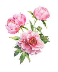 Fototapeta premium Bouquet of pink peonies. Watercolor illustration