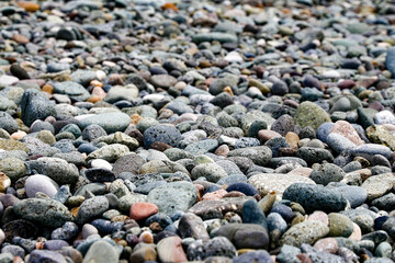 stones on the beach