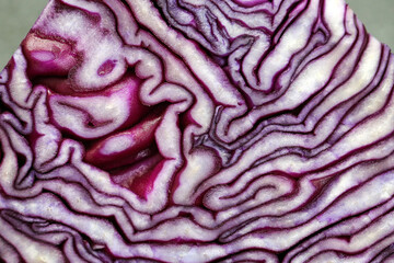 Aufgeschnittener Rotkohl