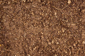 Top view Soil texture background. Sand . 