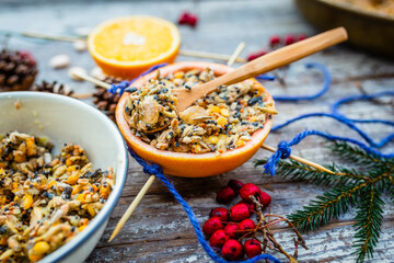 Bird food for the winter. Do-it-yourself energy bird fat balls.