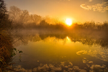 Obraz premium Sonnenaufgang im Grand Ried im Elsass