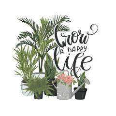 Plant Greenhouse Isolated On A White Background Hand Drawn	