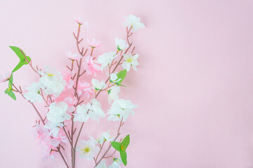 Spring or easter greeting card. Twigs of white and pink flowers on pink background. Space for text