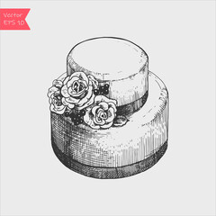 Vector sketched the wedding cake with roses