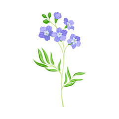Fototapeta na wymiar Common Flax or Linseed as Wildflower Specie or Herbaceous Flowering Plant Vector Illustration