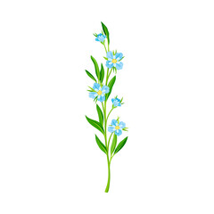 Fototapeta na wymiar Meadow Flower with Small Florets as Wildflower Specie Vector Illustration