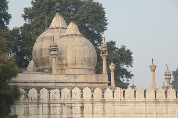 Fototapeta premium Moti Masjid, inside the Red Fort complex. Old Delhi. Delhi. India.