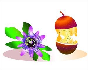 fruit flowers and leaves passion fruit 