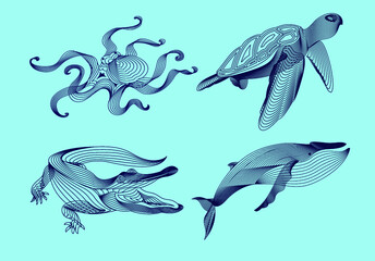 Set marine graphic animals. Vector illustration. The whale,  crocodile, octopus, turtle consist of lines.Digital elements design  for business cards, invitations, gift cards, flyers and brochures, web