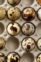 Fototapeta premium Quail eggs in the cardboard packing on the grey scratched table.