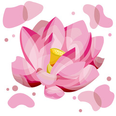 vector illustration of a Lotus.