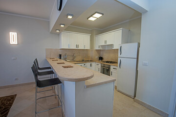 Modern kitchen in a luxury apartment