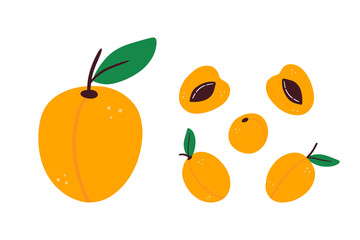 Apricot fruits with leaves cartoon style vector set, collection. Food icons, illustration.