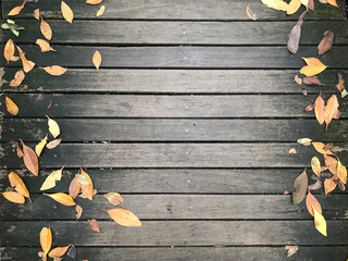 Background of dark wood with fallen leaves.