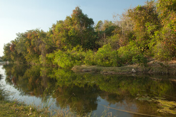 Fototapeta na wymiar Hiran river as it passes through Sasan. Gir Sanctuary. Gujarat. India.