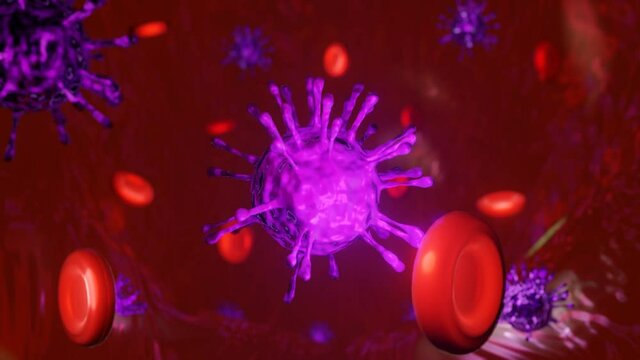 Inside your blood system cell and concept coronavirus causes Low lymphocyte count design., Looping 4K Video