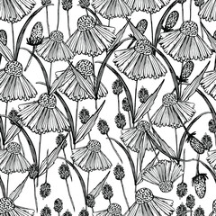 Wildflowers. Pattern with white flowers, daisies. Background for wallpapers, textiles, paper. Stock graphics.