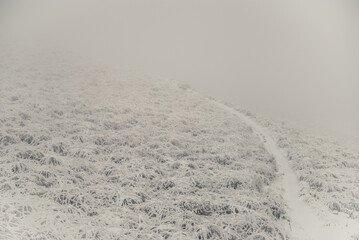 Nostalgic path through a frozen meadow. Wnter melancholy concept.