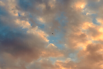High flying plane in the sunset sky
