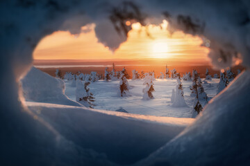 Snow packed trees at sunset in Riisitunturi National Park, Posio, Finland, Lapland