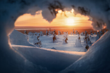 Snow packed trees at sunset in Riisitunturi National Park, Posio, Finland, Lapland © Smelov