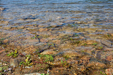 Lake bed of rocks or pebbles under water