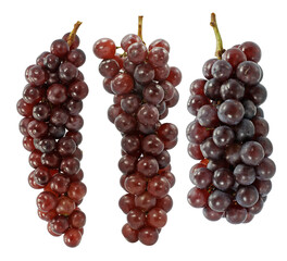 Champagne grape on white background