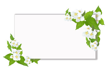 White frame with place for text on a white background with jasmine flowers and green leaves. Celebration concept